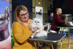 Felina Bari 2022