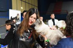 Felina Bari 2022