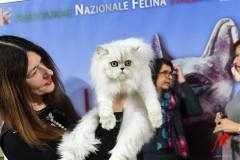 Felina Bari 2022