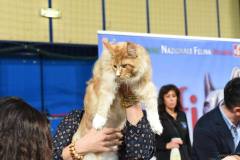 Felina Bari 2022