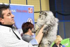 Felina Bari 2022