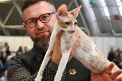 Mr. Marco Scaglia